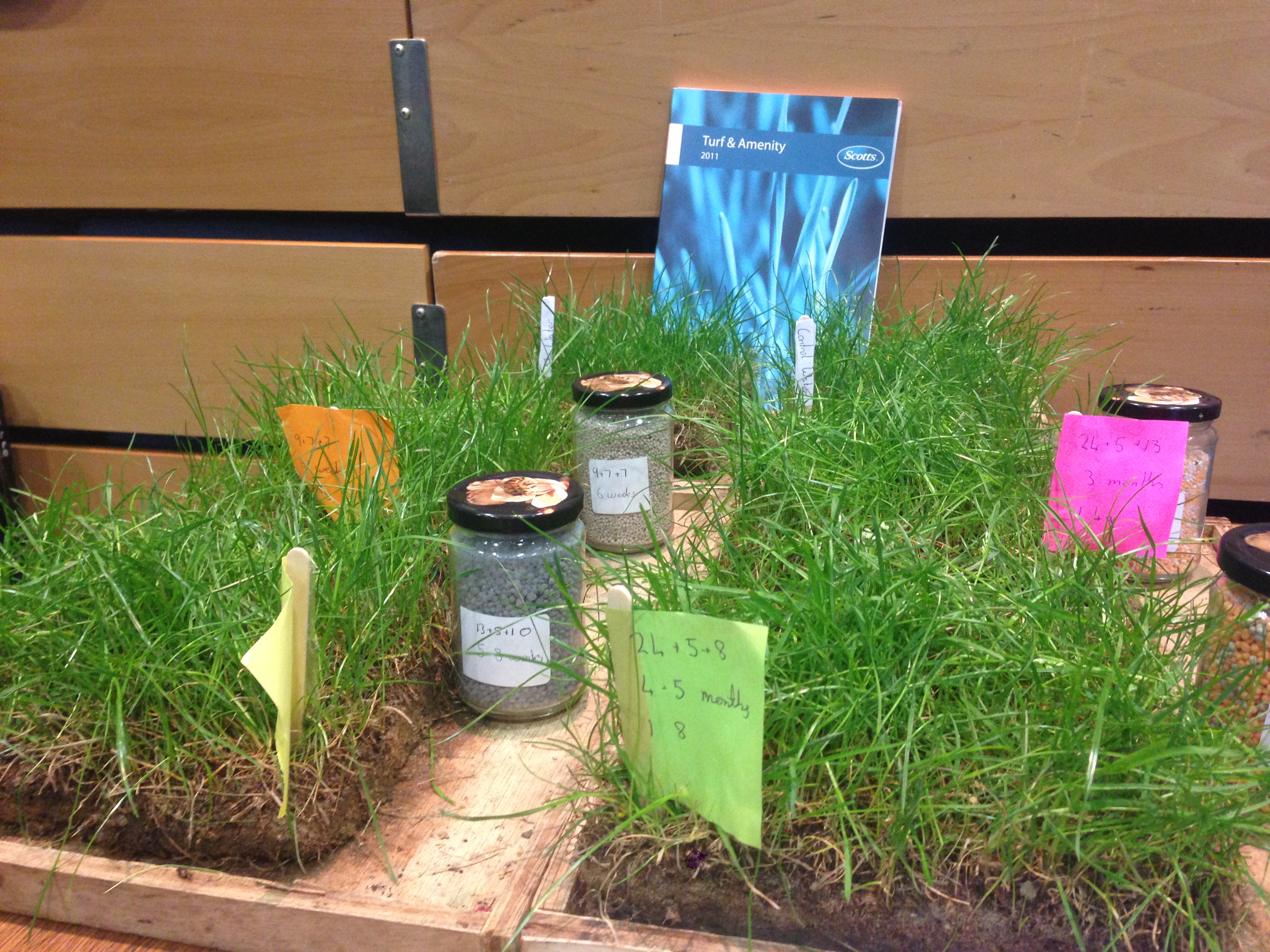 What fertilizer can do for your lawn - KH SciFest